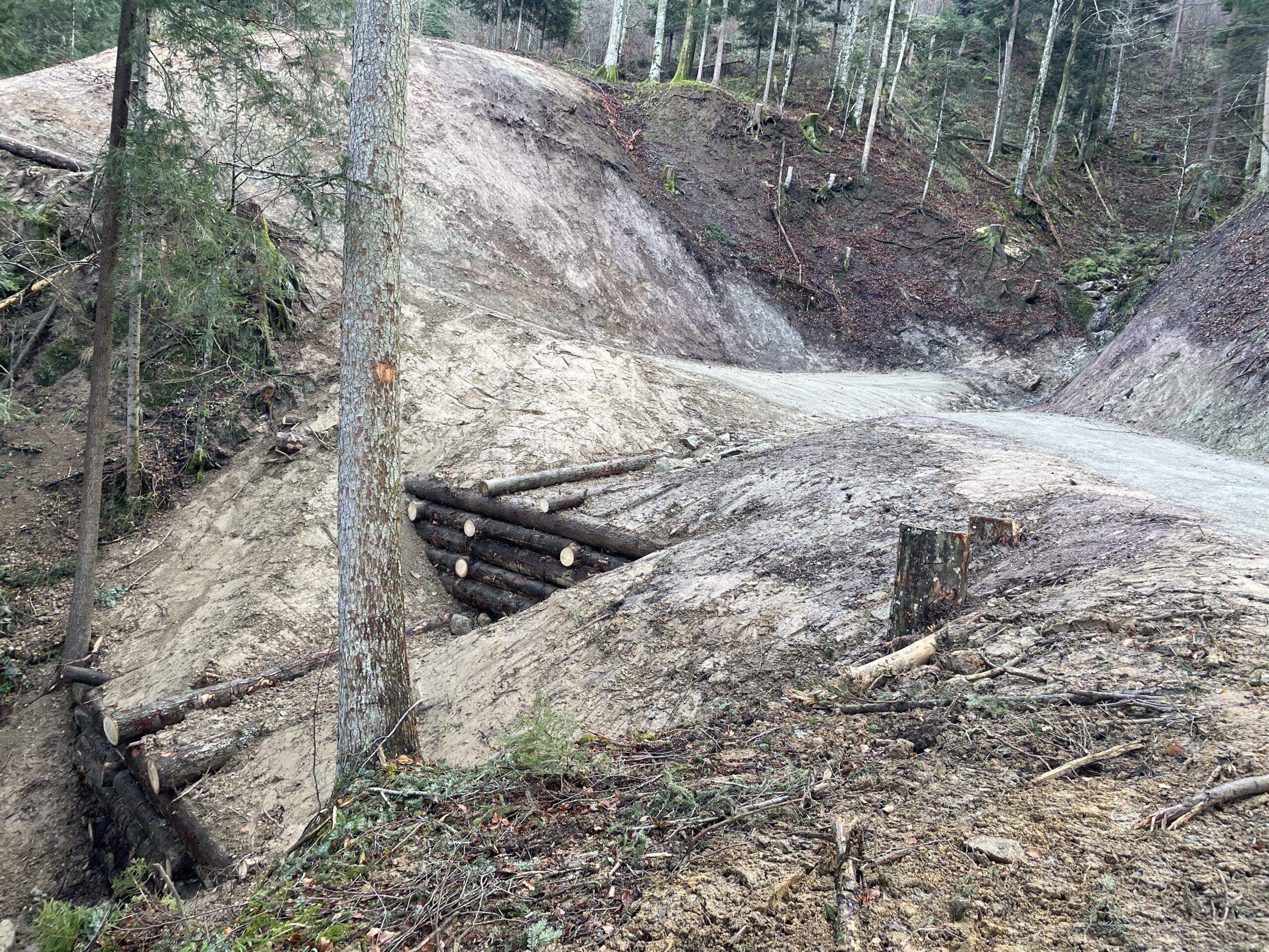 Bachverbauung aus Holz