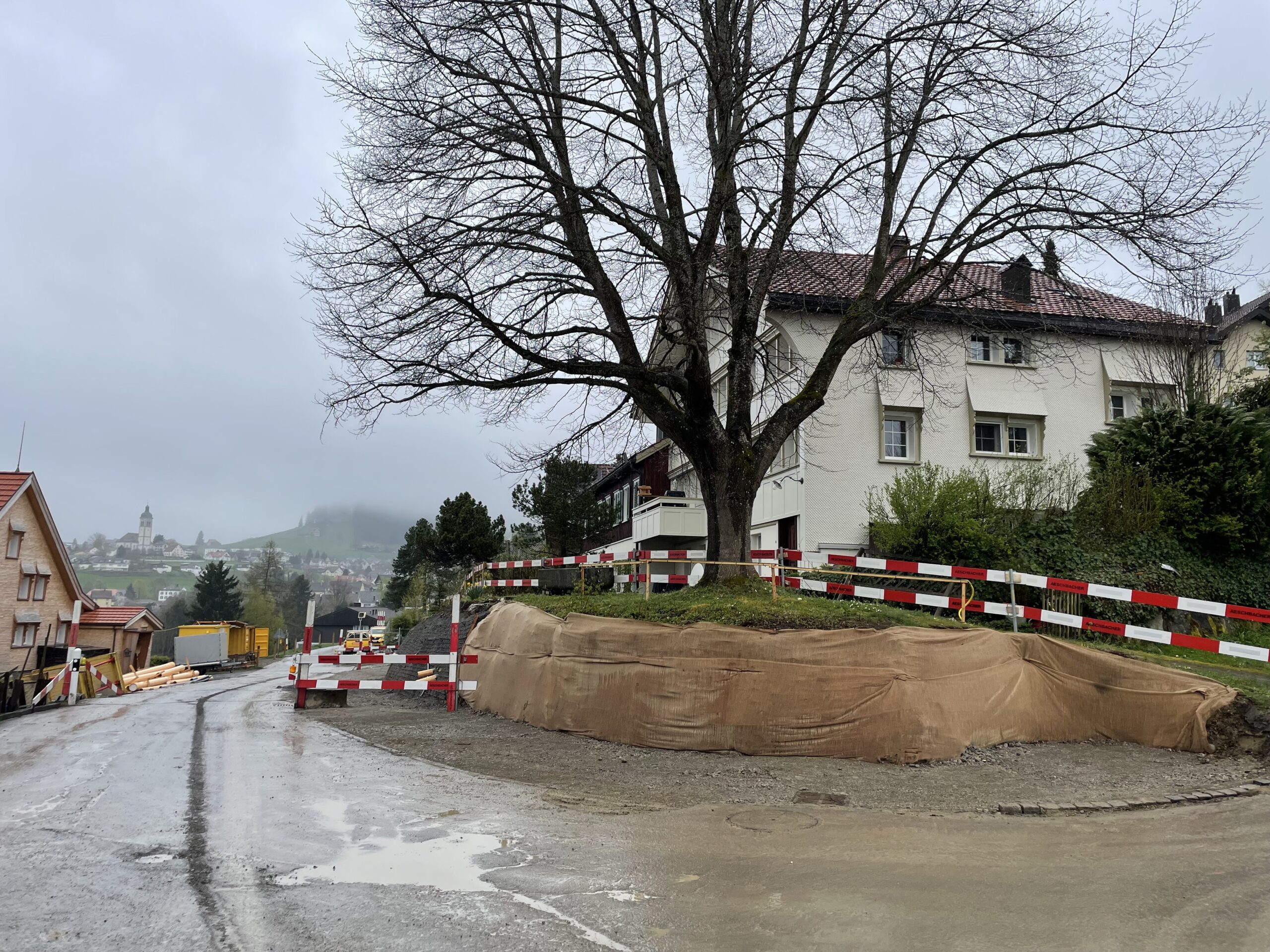 Baumschutz